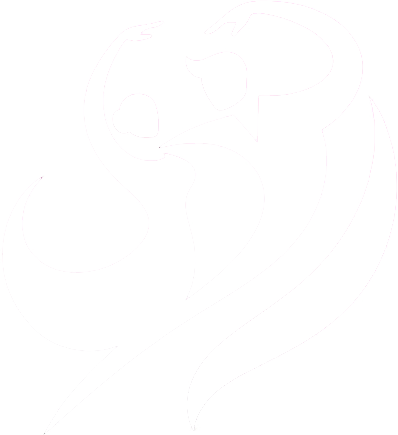 Viaja y Baila